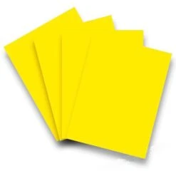 Staufen Kopierpapier Style Multifunktionspapier A4, 80g/qm, Gelb, 50 Blatt -Zebra Shop 1c11607400892b387eae8b65249ac42c1e959f4d kopierpapier staufen style multifunktionspapier a4