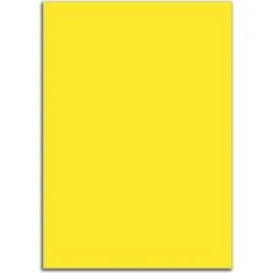 Xerox™ Xerox Symphony 003r93952 80g A4 Papier Sonnengelb -Zebra Shop 207031c9b068f68ce66ec5541404f442af92b17f kopierpapier xerox symphony intensiv 003r93952 a4